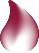Nar icon 1